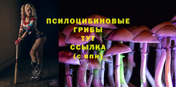 прущий лед Белокуриха