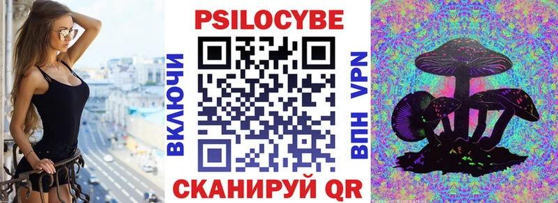 Псилоцибиновые грибы Psilocybine cubensis  Купить закладки  Верещагино 